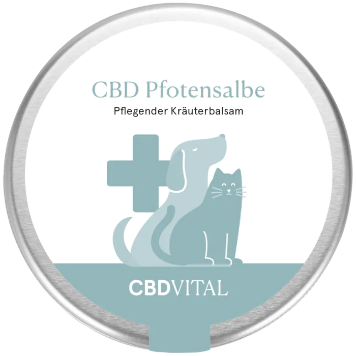 cbdvital_pfotensalbe
